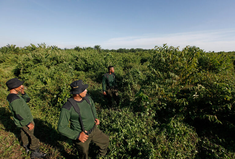 Visée : Révolution écologique et anthropologique
